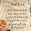 hinna.ameen