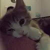 nyourmk13