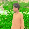 sabir.ali76233