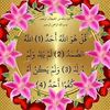 wael.gomaa42