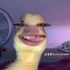 its_me_laraa18