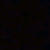 syafrysd99o
