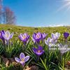 roksana.tasnim1