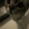 luvmiwwco