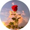 user122346724