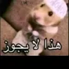 user8451811595435