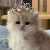 saliha_350