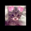 like_princess17