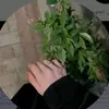 za__h_7