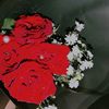 soso20050716