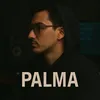 palma_stxdio