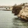 dickomoustapha523