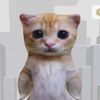 godxi144