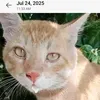 mawo_simba