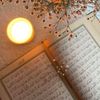 rawdamahamd985