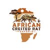 Africancrestedratsafaris