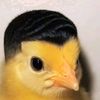 johansensual7