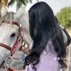 dalosh_95