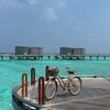 حياة