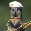 siboritoh