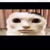 herveugo