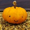 pumpkin.trek