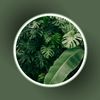 thetidynestshop