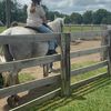 justbrylea6
