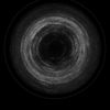 d009989