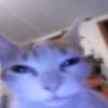 user39224614936736