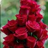 user9090741612975