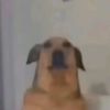 therejwp0ul