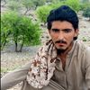 گیلا مان وزیر