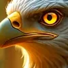 user5800543336139