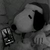 wacho104
