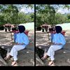 sallll_lll