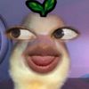 bb3lov3d.sou1
