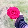 user6331634769474