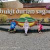 erni.sulastri197