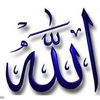 user2655503012398
