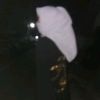 ddezaa7