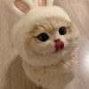 boru_tampubolon6