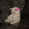 mariam.maher48
