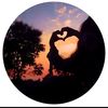 siyoun_15