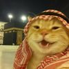 khamis.alghaithi0