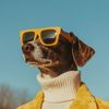 funnydog321