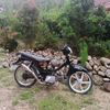 yanzzz_291
