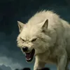 loup.solitaire792