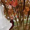 aliaa.enab