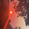 hope.luken